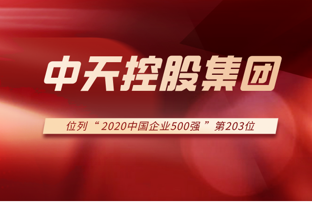 304am永利集团集团列2020中国企业500强第203位！