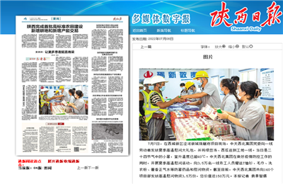 304am永利集团西北集团珑樾府项目高温慰问——《陕西日报》